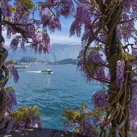 Appartement Como Lake Modern Apartament Ulivi